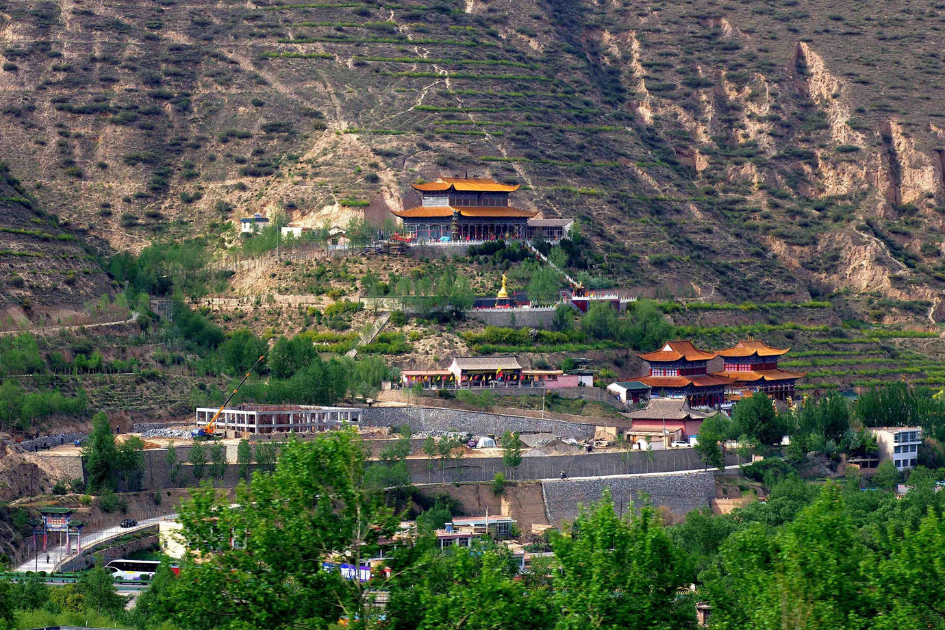 青海西寧-扎麻隆鳳凰山